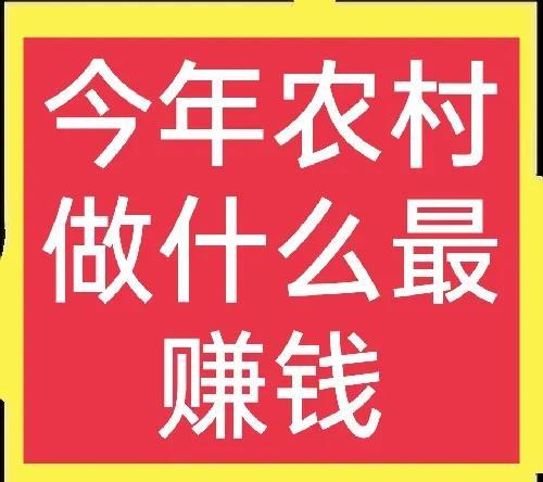 电商创业红网好项目有什么好处_网红电商产业_网红电商创业好项目有哪些,0,0,0,0.0,0,0,0,,-