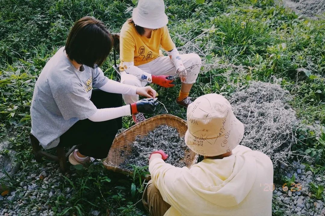 自媒体运营简历怎么写_媒体运营经理简历_新媒体运营简历一句话介绍自己,0,0,0,0.0,0,0,0,,-