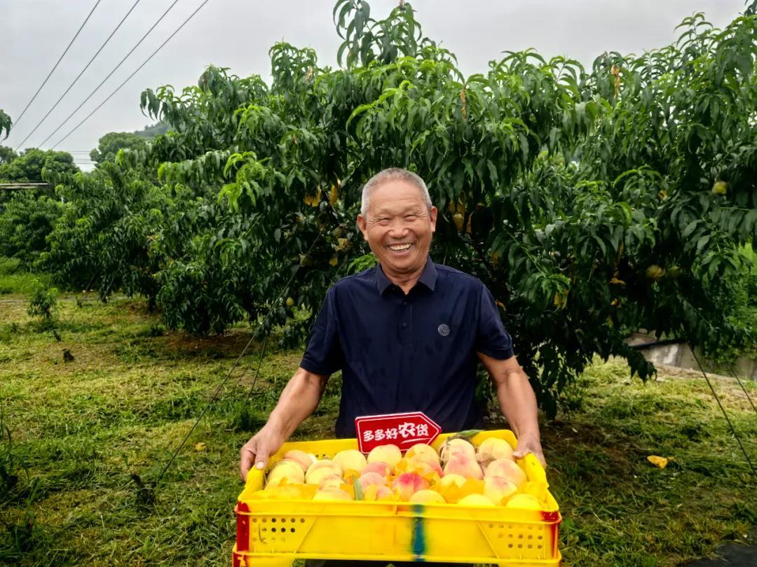 拼多多运营交流三种玩法解析_拼多多商家对接运营有什么好处_拼多多对接运营难通过,0,0,0,0.0,0,0,0,,-