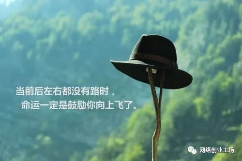 培训直播创业版网络项目是什么_网络创业培训直播版项目是什么,0,0,0,0.0,0,0,0,,-_网络创业培训直播班