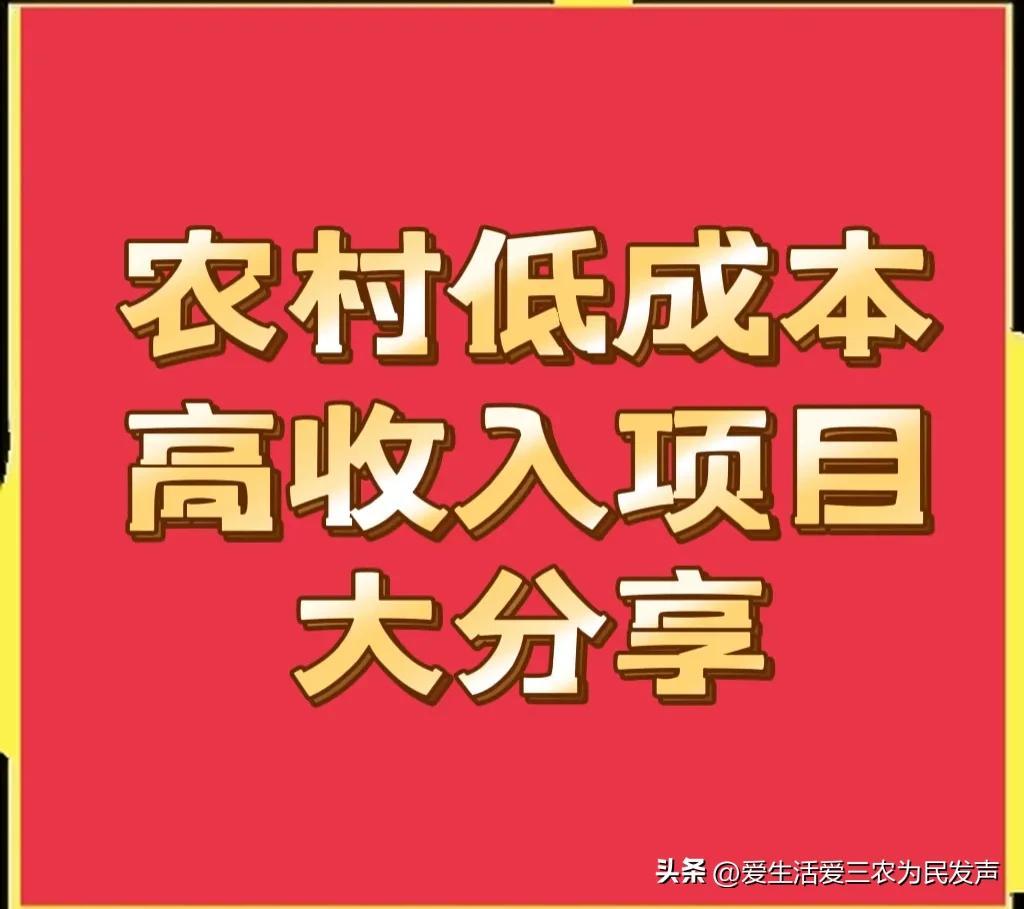 农村十万元创业好项目网,0,0,0,0.0,0,0,0,,-_官方农村创业项目大全_2021年农村创业好项目